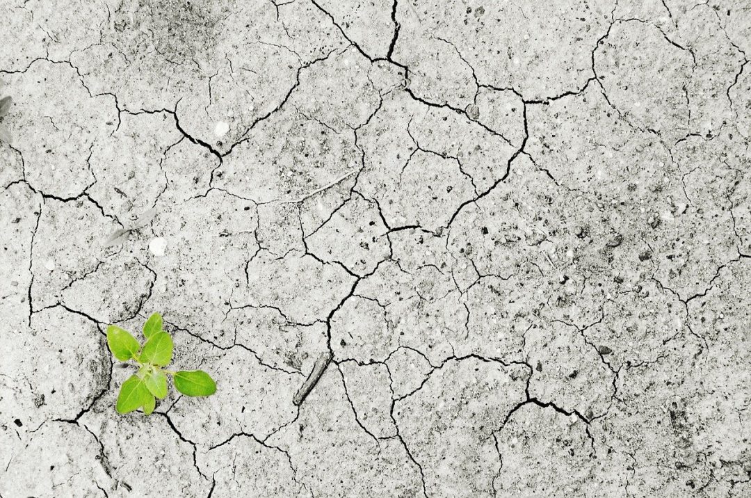 Descubre la verdad sobre el cambio climático en la Tierra