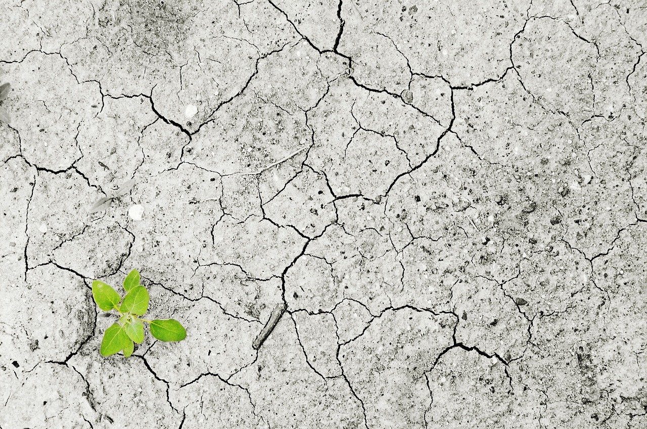 Descubre la verdad sobre el cambio climático en la Tierra