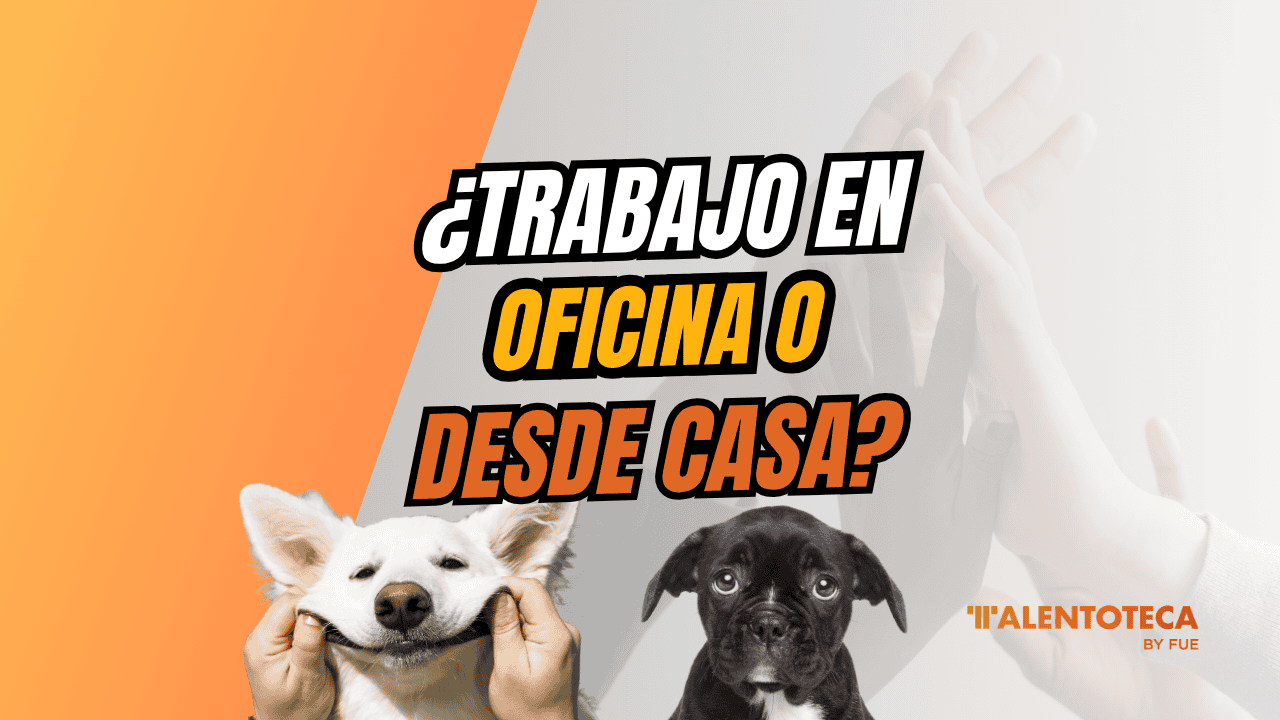 trabajo en oficina o desde casa