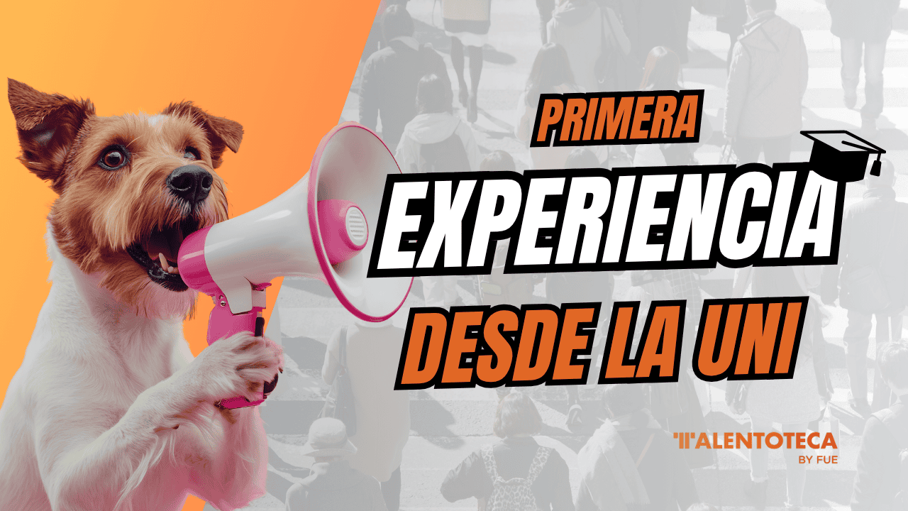 Primer Trabajo Después de la Uni