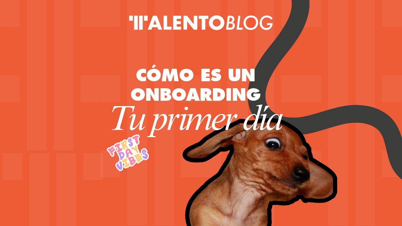 onboarding estudiantes