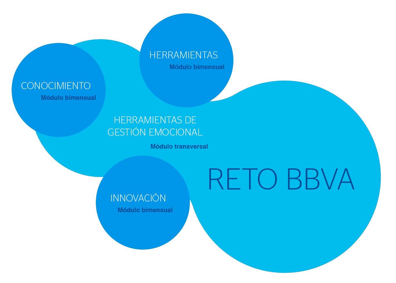 Formación Académica