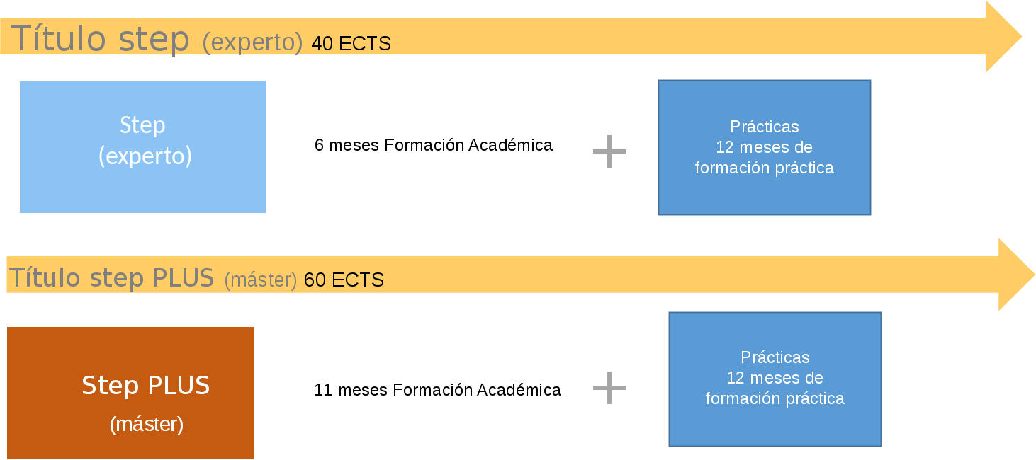 Metodología del programa STEP
